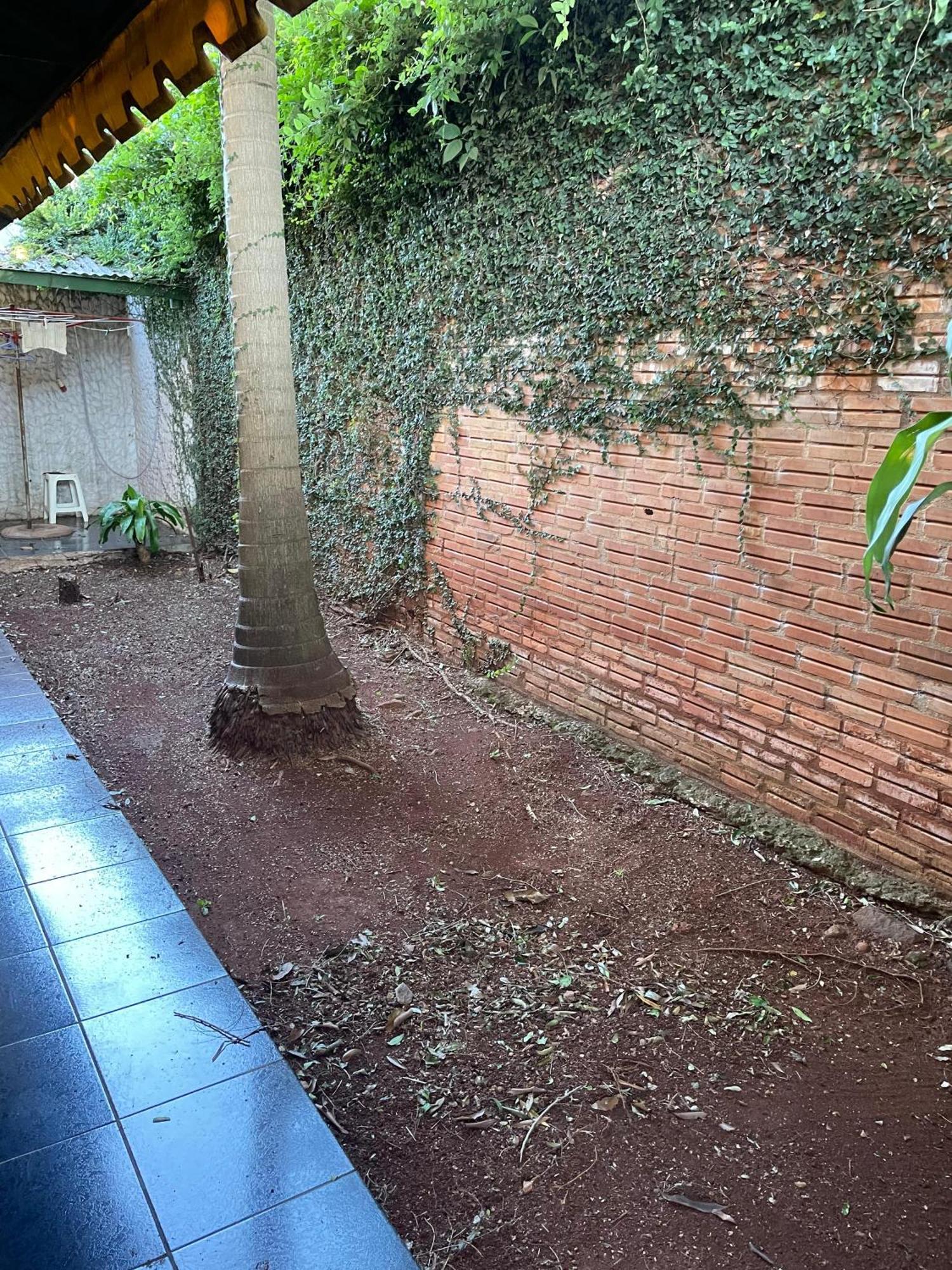 ¡Tucanes Iguazu! Puerto Iguazu Exterior photo